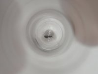 1000024846.jpg