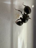 IMG_4411.jpeg