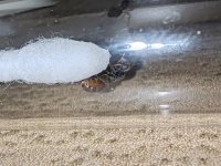 IMG_20250529_224839.jpg