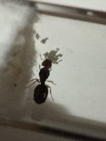 IMG_2530.jpeg