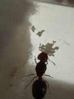 IMG_2529.jpeg