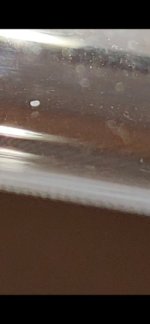 Screenshot_20250530_161956_Gallery.jpg