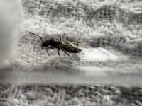IMG_4940.jpeg