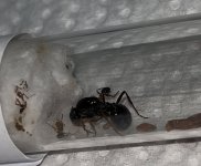 IMG_0669.jpeg