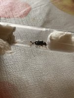 IMG_4756.jpeg