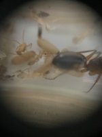 IMG_6573.jpeg