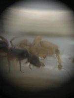 IMG_6572.jpeg