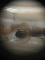 IMG_6570.jpeg