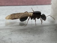 IMG_0850.jpeg