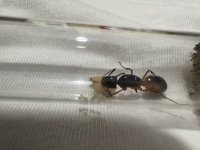 IMG_4862.jpeg