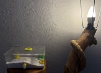 IMG_4958.jpeg