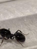IMG_1838.jpeg