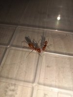 20250530_220923.jpg