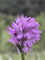 IMG-20250531-WA0026.jpg
