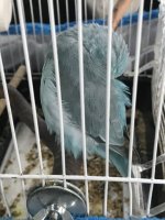 4485E8F0-4BDD-46B8-9472-EB3D600DAFDC.jpeg