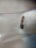 IMG_20250601_003806.jpg