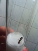IMG_20250601_002754.jpg