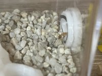 IMG_6580.jpeg