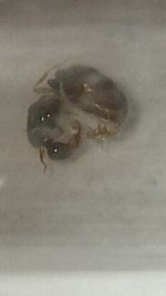 20250407_004825.jpg