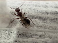 IMG_4883.jpeg