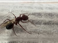 IMG_4884.jpeg