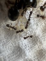 IMG_4964.jpeg