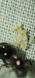 IMG_20250601_200715.jpg