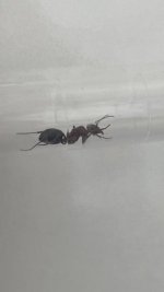 IMG_1852.jpeg