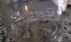 20250602_185818.jpg