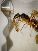 IMG_20250531_205124.jpg