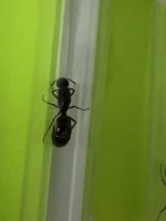 IMG_3862.jpeg