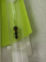 IMG_3861.jpeg