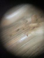 IMG_6589.jpeg