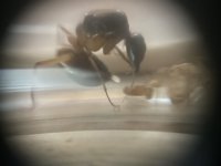 IMG_6602.jpeg
