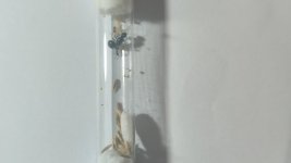 IMG_20250603_004439.jpg