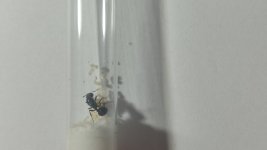IMG_20250603_005118.jpg