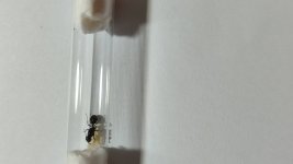 IMG_20250603_005209.jpg