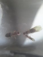 20250603_075314.jpg
