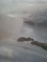 20250603_080010.jpg