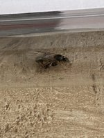 IMG_0088.jpeg