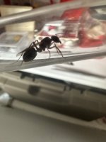 IMG_1908.jpeg