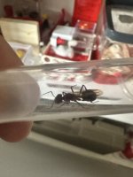 IMG_1906.jpeg