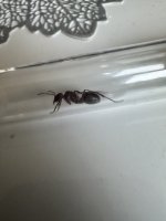 IMG_1910.jpeg