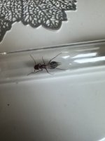 IMG_1909.jpeg