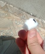 IMG_20250603_151109952.jpg