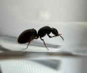 IMG_7804.jpeg