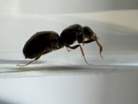 IMG_7803.jpeg