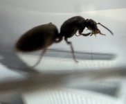 IMG_7802.jpeg