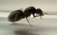 IMG_7800.jpeg