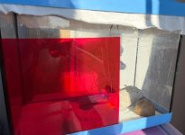 IMG_5034.jpeg